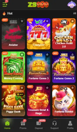 ZS999 Game