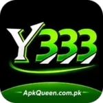 Y333 Game