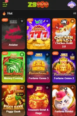 ZS999 Game